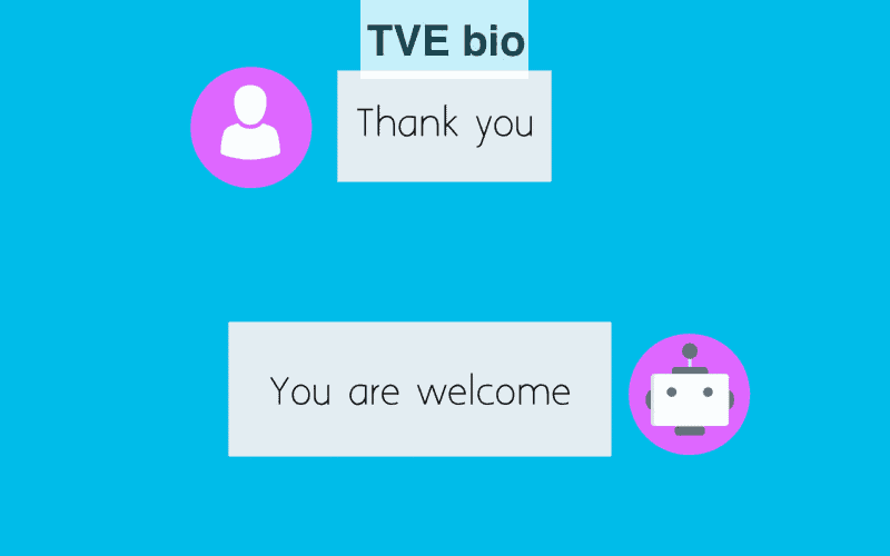 chatbot